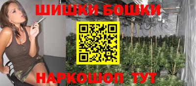 мдпв Новокубанск