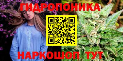 Альфа ПВП Новозыбков