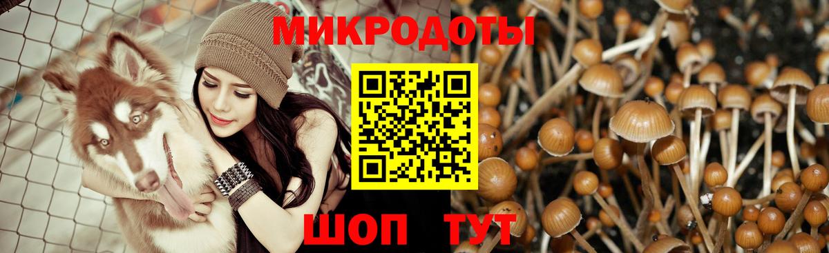 Урус-Мартан  Псилоцибиновые грибы прущие грибы  Вход с VPN 